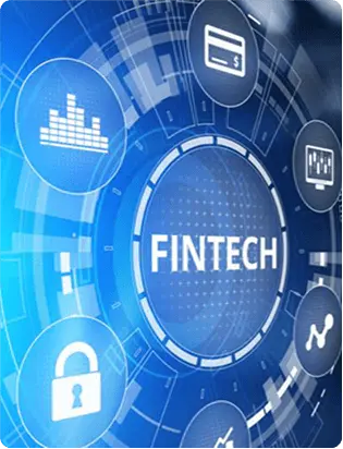 Financial Services/Fintech
